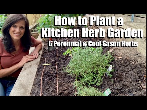 วีดีโอ: Grow A Desk Herb Garden – เคล็ดลับในการเก็บรักษาสมุนไพรในออฟฟิศ