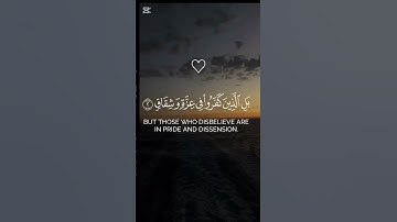 خذو اجر #اللهم_صل_وسلم_على_نبينا_محمد #الله #تلاوة #تلاوة_هادئة #قران_كريم #قرآن #محمد #ملك_القطط