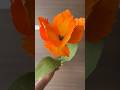 Tulip Crepe Paper #shorts #crepepaperflower