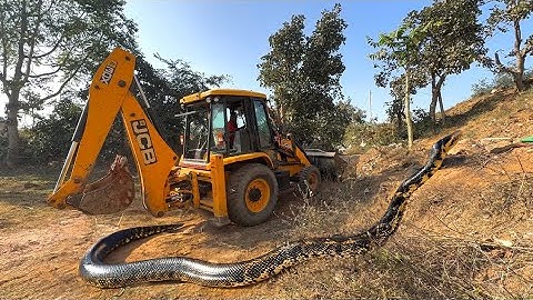 JCB 3dx Backhoe Loading Mud in Mahindra 275 Di tractor JCB miti Khudai #jcb #jcbvideo