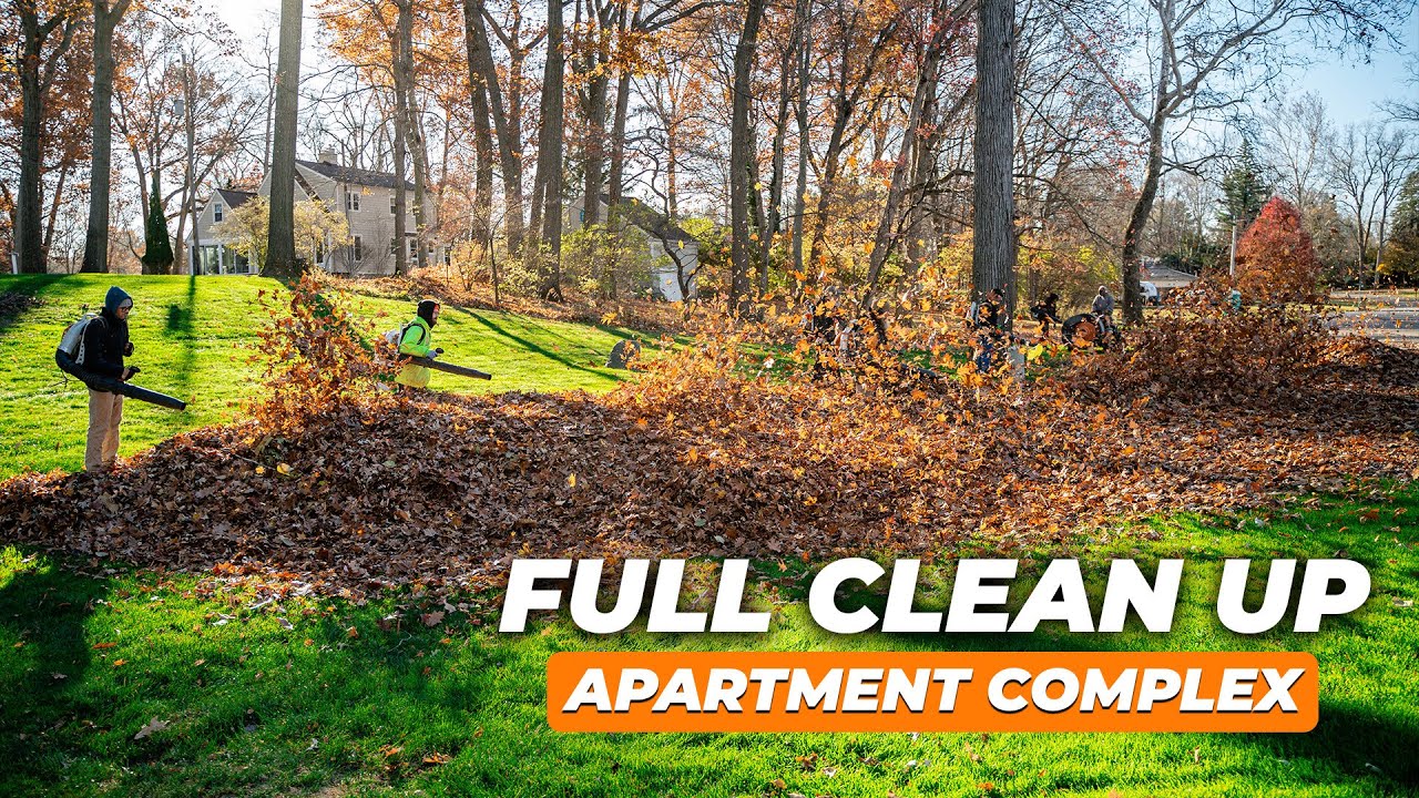 Tackling a Full Fall Clean Up Job