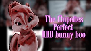 The Chipettes - Perfect (HBD bunny boo)