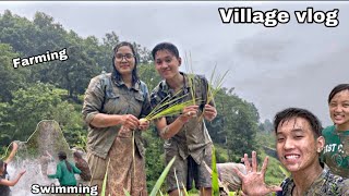 Ramailo Village vlog || Farming+Swimming in River || Family Time