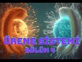 Üreme Sistemi Bölüm 4  Döllenme , büyüme ve Gelişme