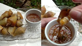 Cara masak siput gonggong dan cara membuat sambal cocolannya