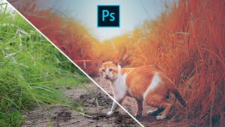 HOW TO CINEMATIC FOR CAT PHOTO COLOR GRADING | ADOBE PHOTOSHOP screenshot 4