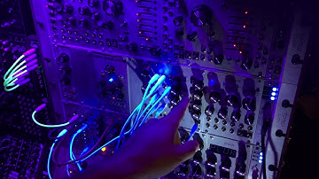 Mutable Instruments Edges Quick Demo