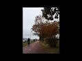 Turul cu bicicleta prin Tilburg, Olanda, pe o distanță de 14 km-partea 2