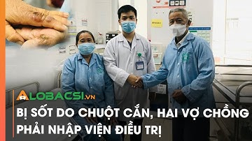 Bị sốt do chuột cắn, hai vợ chồng phải nhập viện điều trị | Video Alobacsi