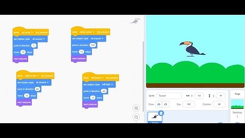 To make Toucan fly all around in Scratch | Scratch Tutorial