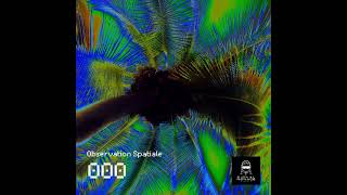 Bruno Leroux - Observation Spatiale
