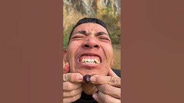 Hoe ik een insectenbeet genas met yoghurt in de wildernis | Overlevingstips