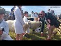Danby Show 2026