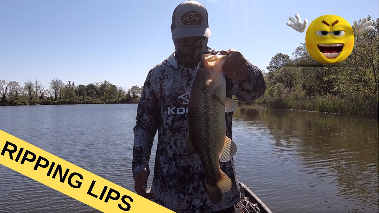 Maryland Bass Fishing Episode 23 - YouTube
