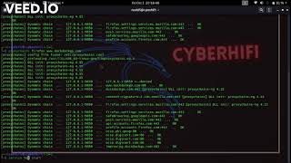 Setting Up Proxychains And Tor Services