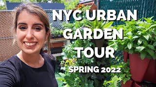 The First FULL GARDEN TOUR! 2022 Growing Season | WEEK 1 // Urban Gardening in NYC | Zone 7b