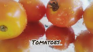 Tomatoesnini Collection