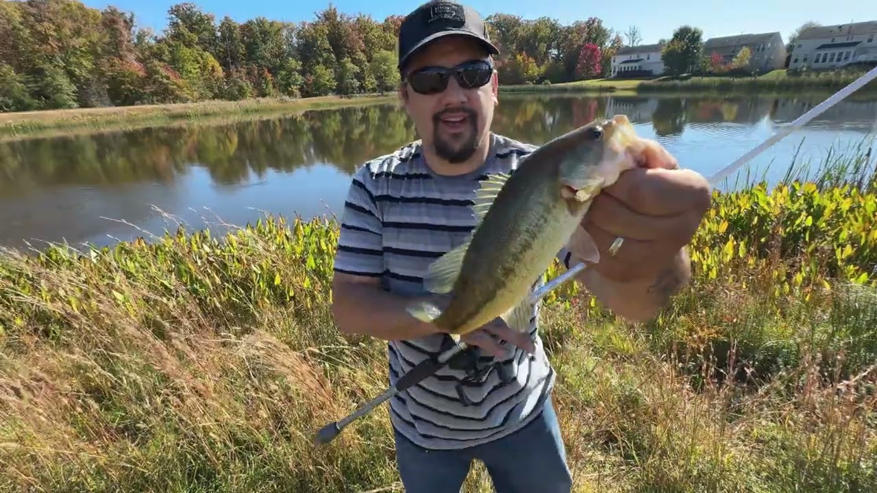 Another day of pond hopping. #pondfishing #fishing #bassfishing