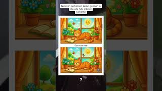 Try to guess the difference between these two pictures of cats. | #shorts #funnyshorts