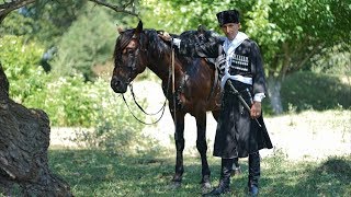 Черкесское седло - секрет побед кавказских воинов (новости)