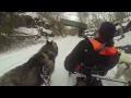 Bike-Mushing Through the Snow on the Great Allegheny Passage (Frostburg MD) 12.20.2013