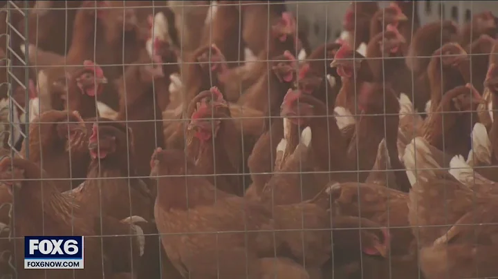 Avian flu prompts restrictions; zoos, Wisconsin Humane Society | FOX6 News Milwaukee