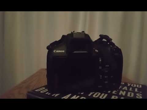Canon RGB Color Histogram understanding and setup