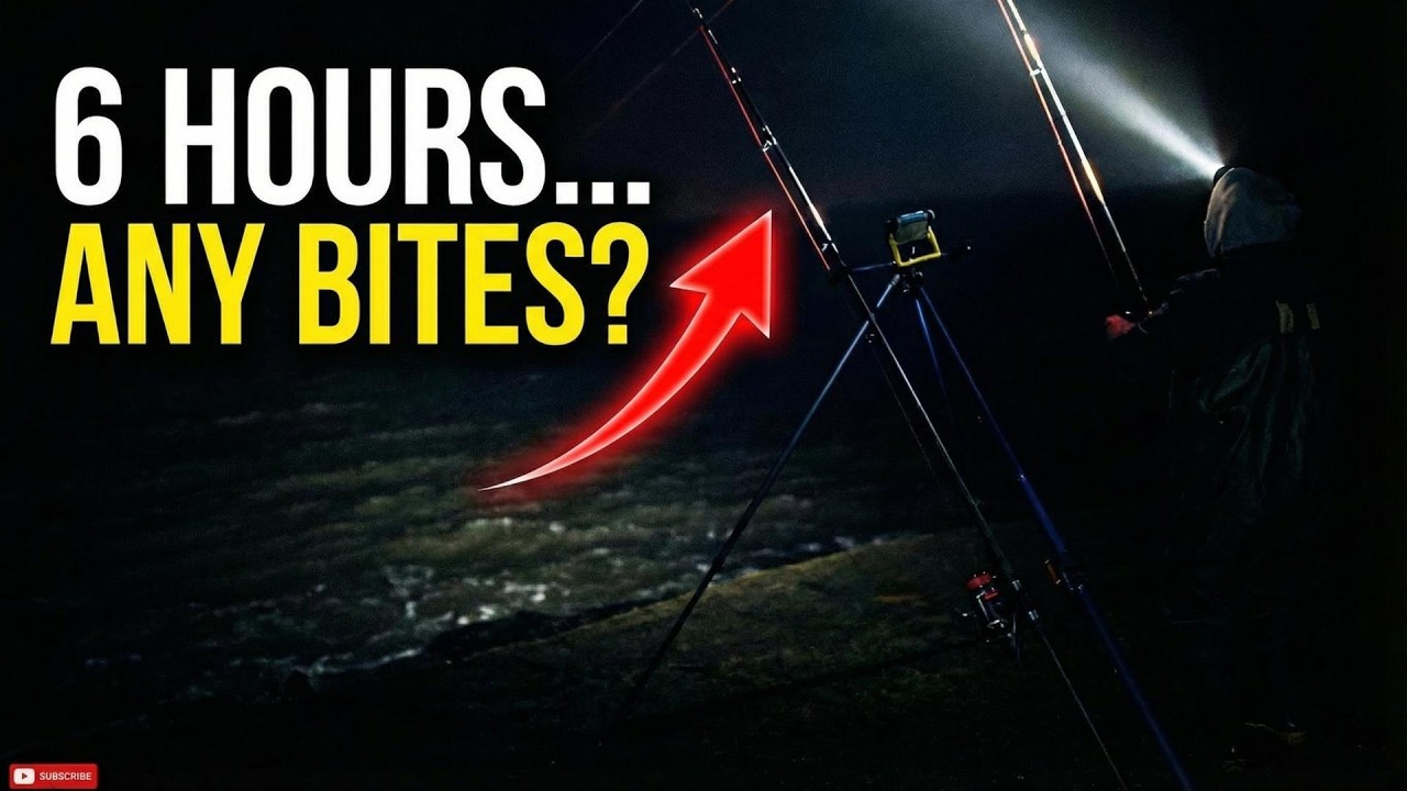 Ночная рыбалка у стены Сталлингборо… И вот такой результат? | Рыбалка в Хамбере