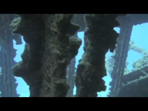 Red Sea Safari - Diving the SS Carnatic & Ghiannis D