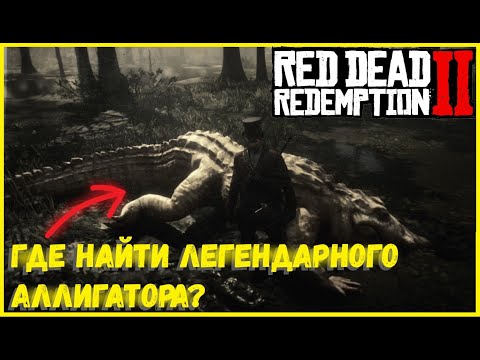 ГДЕ НАЙТИ ЛЕГЕНДАРНОГО АЛЛИГАТОРА? I RDR 2 I ОХОТА НА ЛЕГЕНДАРНОГО КРОКОДИЛА