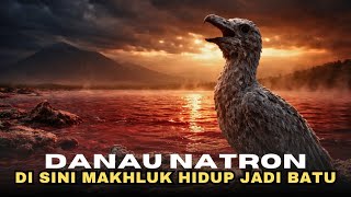 Download Lagu Danau Natron ‼️ Tempat di Mana Makhluk Hidup Membeku Seperti Batu MP3