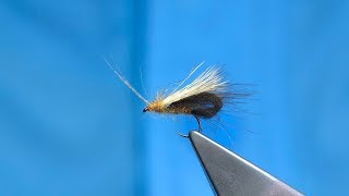 Tying the Fox Caddis (CDC Bubble) by Davie McPhail