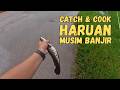 Casting Haruan Musim Banjir - Catch & Cook - ep188