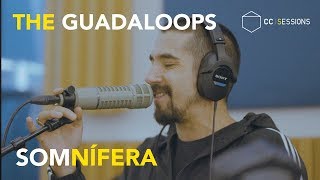 Miniatura de vídeo de "The Guadaloops ft. Marcol - Somnífera | CC SESSIONS"