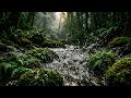 Sleep in a Quiet Forest Tonight 🌧️ | Rain by the River for Deep Relaxation (4K)