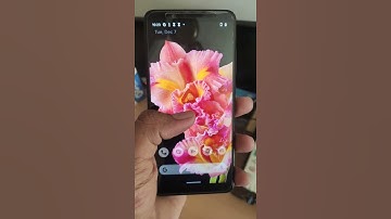 pixel experience ROM redmi note 5 Pro Evolution x rom