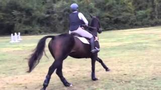 Teagie 5 yo yeh