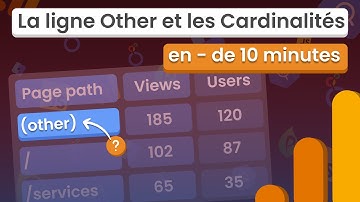 Comment éviter la ligne Other dans vos Rapports et les Cardinalités élevées