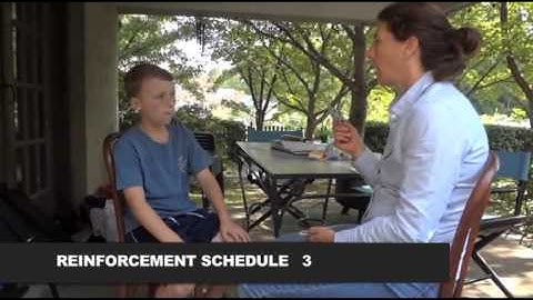 reinforcement schedule examples activty