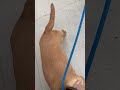 Skye video