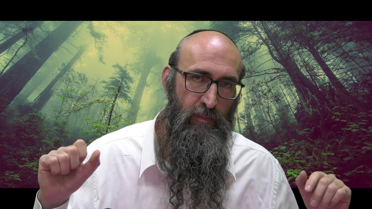 ON VA CHANGER LE MONDE 12 - Le secret des 6 tsadikim, le 6eme sens - Rav Itshak Peretz