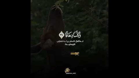 تلاوة لاوأخر سورة النبأ  للقارئ رعد الكردي تلاوة جميلة ورائعة جداً