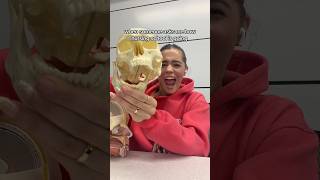 Whats Your Dream Job?