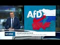 AFD UND PUTIN: Russland-Sympathie im Wahlkampf! Unterstützung im Ukraine-Krieg soll das Problem sein
