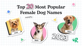 Top 20 Most Popular Female Dog Names of 2023 by Rover 8,262 views 5 months ago 1 minute, 50 seconds