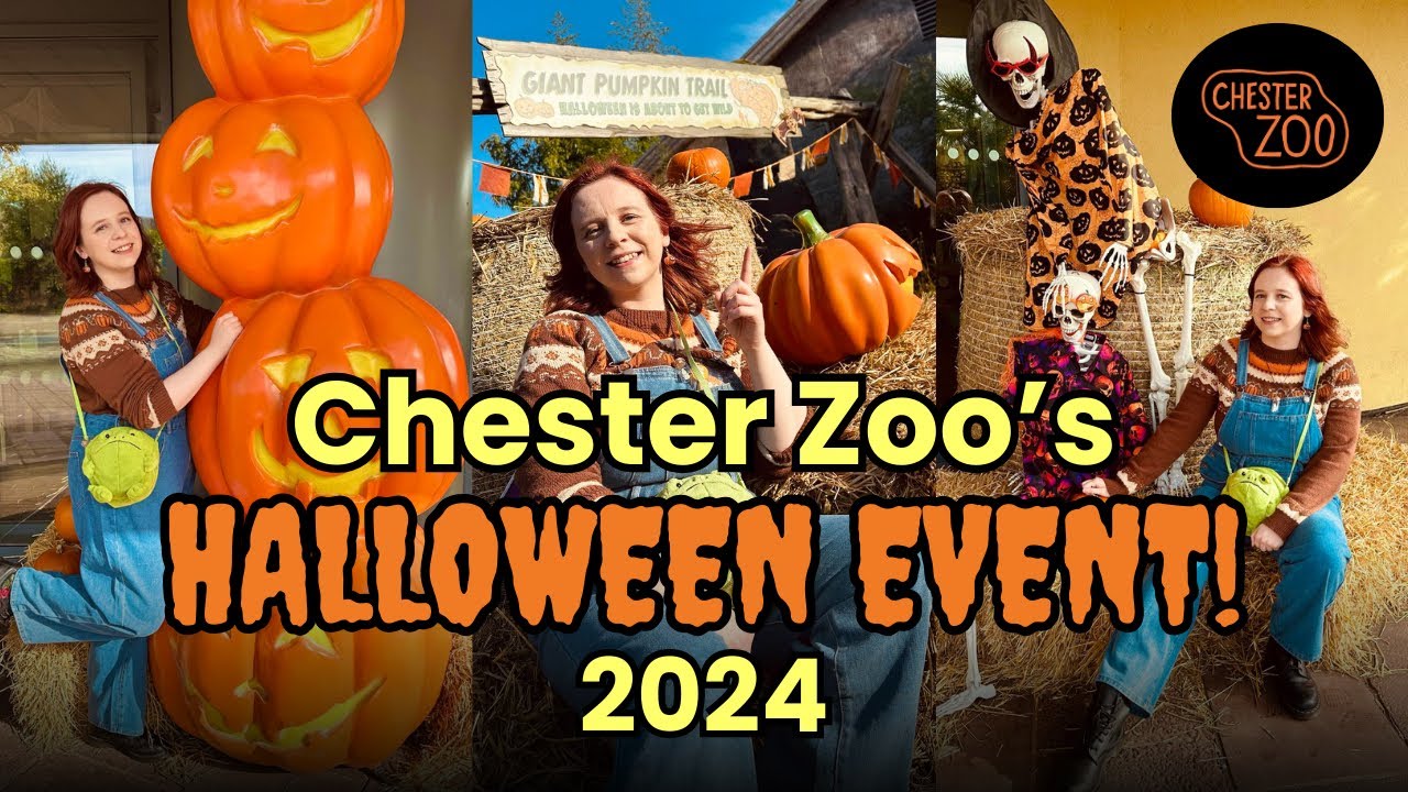 Chester Zoo Halloween Vlog 🦒 | Spooky Month 2024