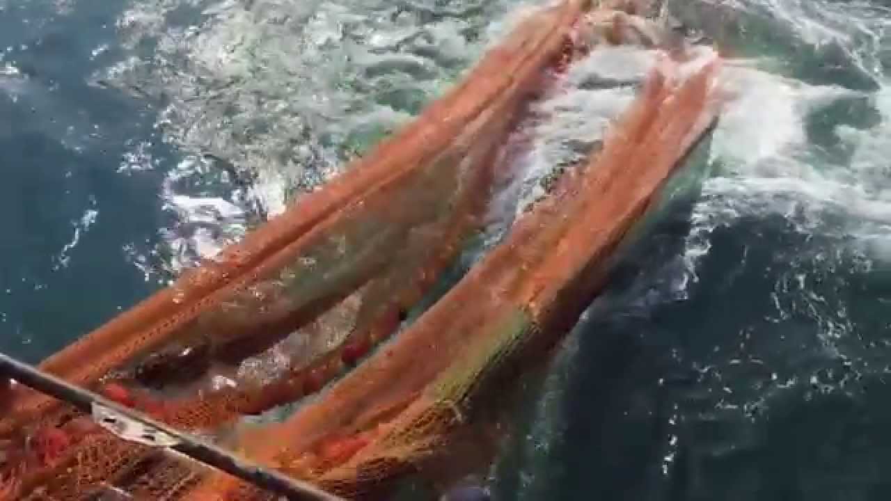 Flyshoot met de H-426