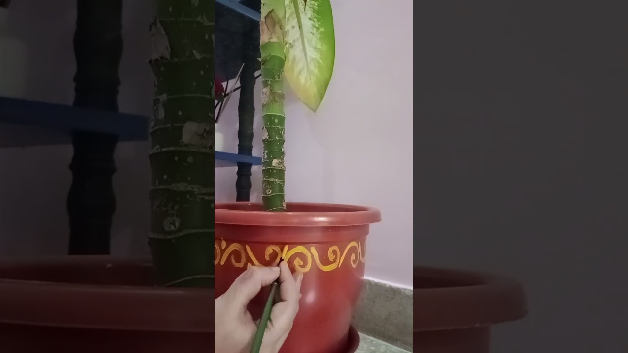 flowerpot decoration 