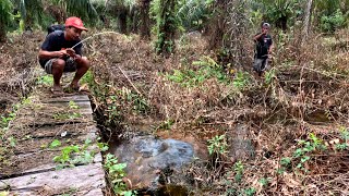 Wow.!!! Dapat ikan lele besar temen saya sampai melongo!!! Sungai kecil ini ternyata sarang nya lele