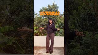 Sovara dance #sovara #kalolsavam #trendingmalayalam #dance #soovaaraa